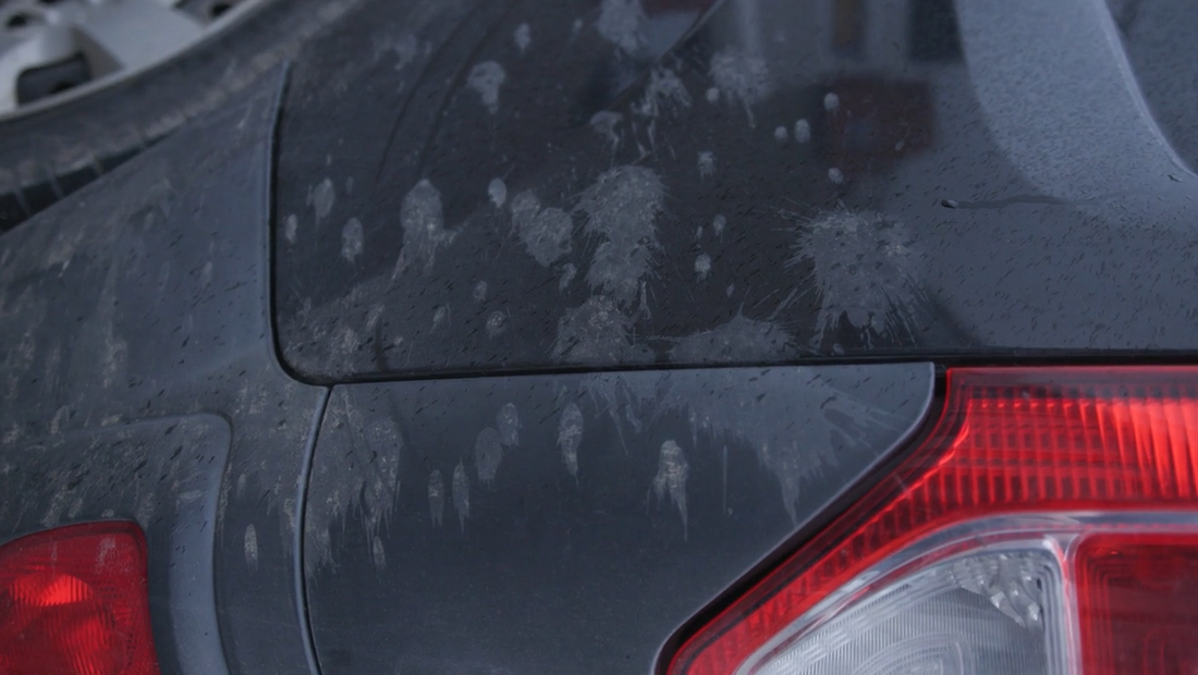 Welke voorbewerking voor het aanbrengen van de coating?