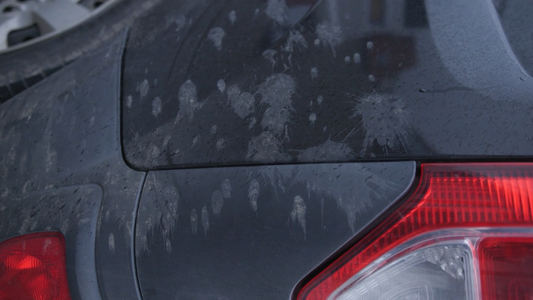 Wat is het verschil tussen een coating en een traditionele waslaag?